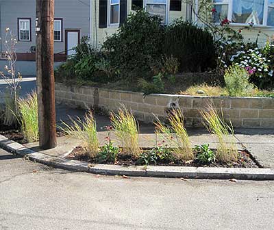 The gardens that replaced the sidewalk.